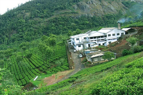 Gallery_Image